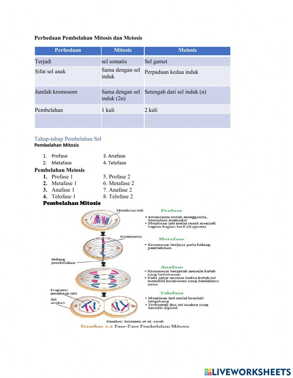 LKPD Sistem Reproduksi Pada Manusia