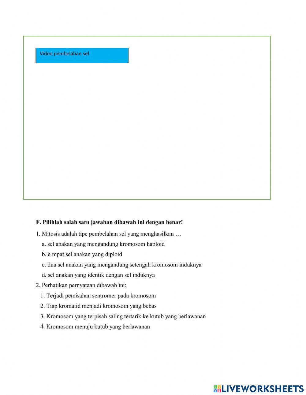 LKPD Sistem Reproduksi Pada Manusia