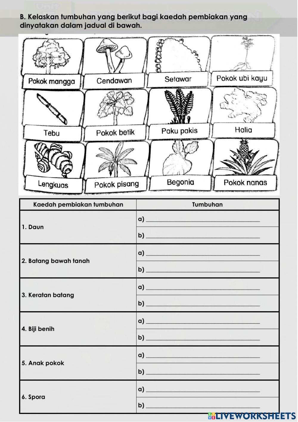 Cara Pembiakan Tumbuhan