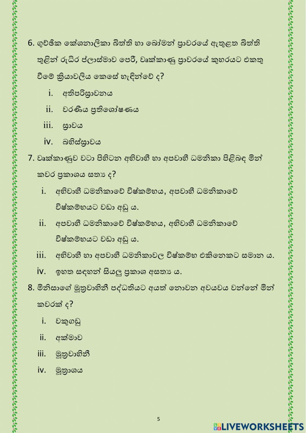 Grade 11- Excretion System