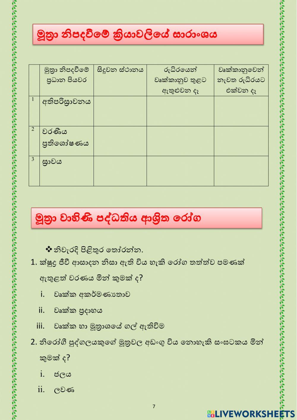 Grade 11- Excretion System
