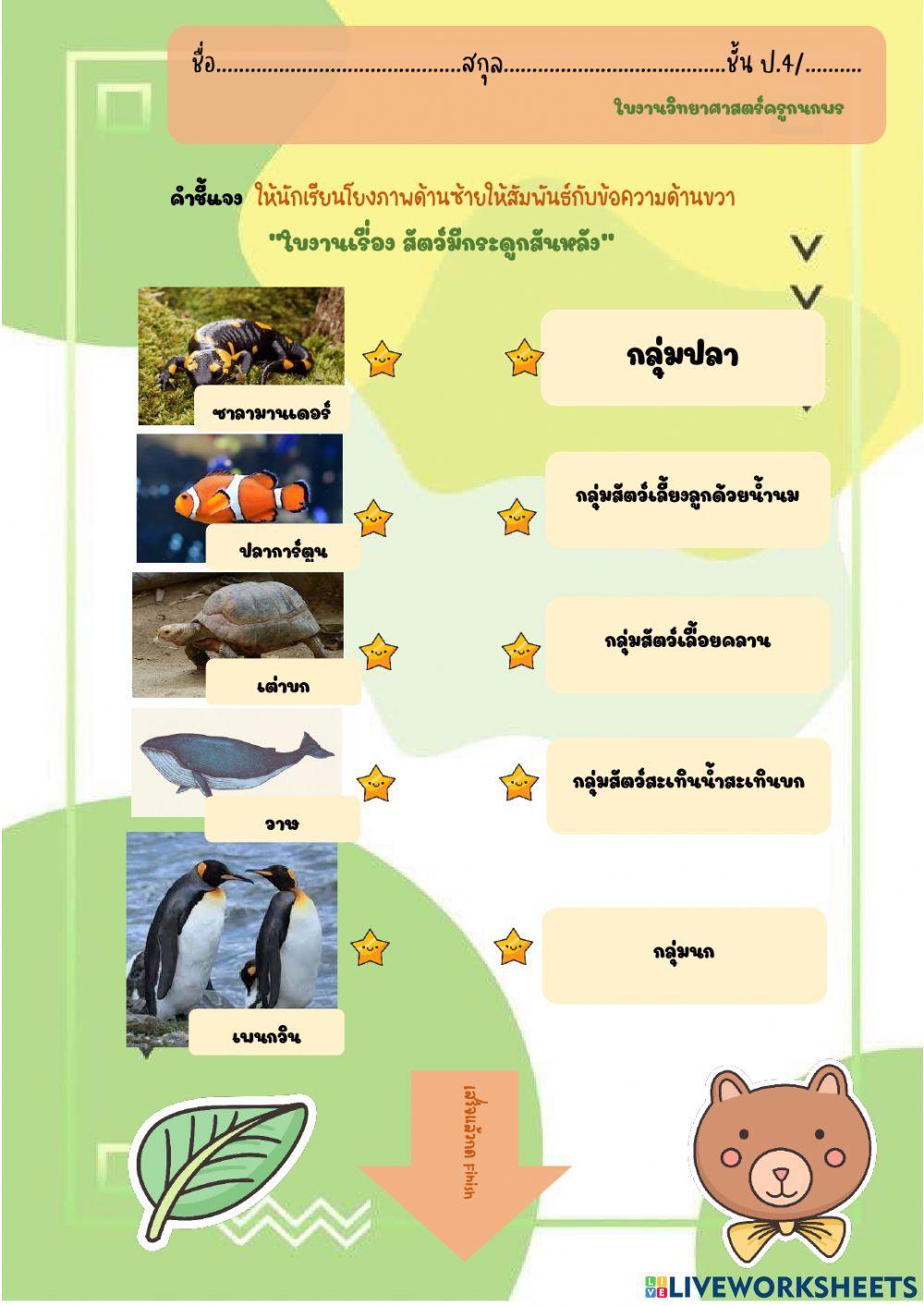 ใบงานโยงสัตว์มีกระดูกสันหลัง