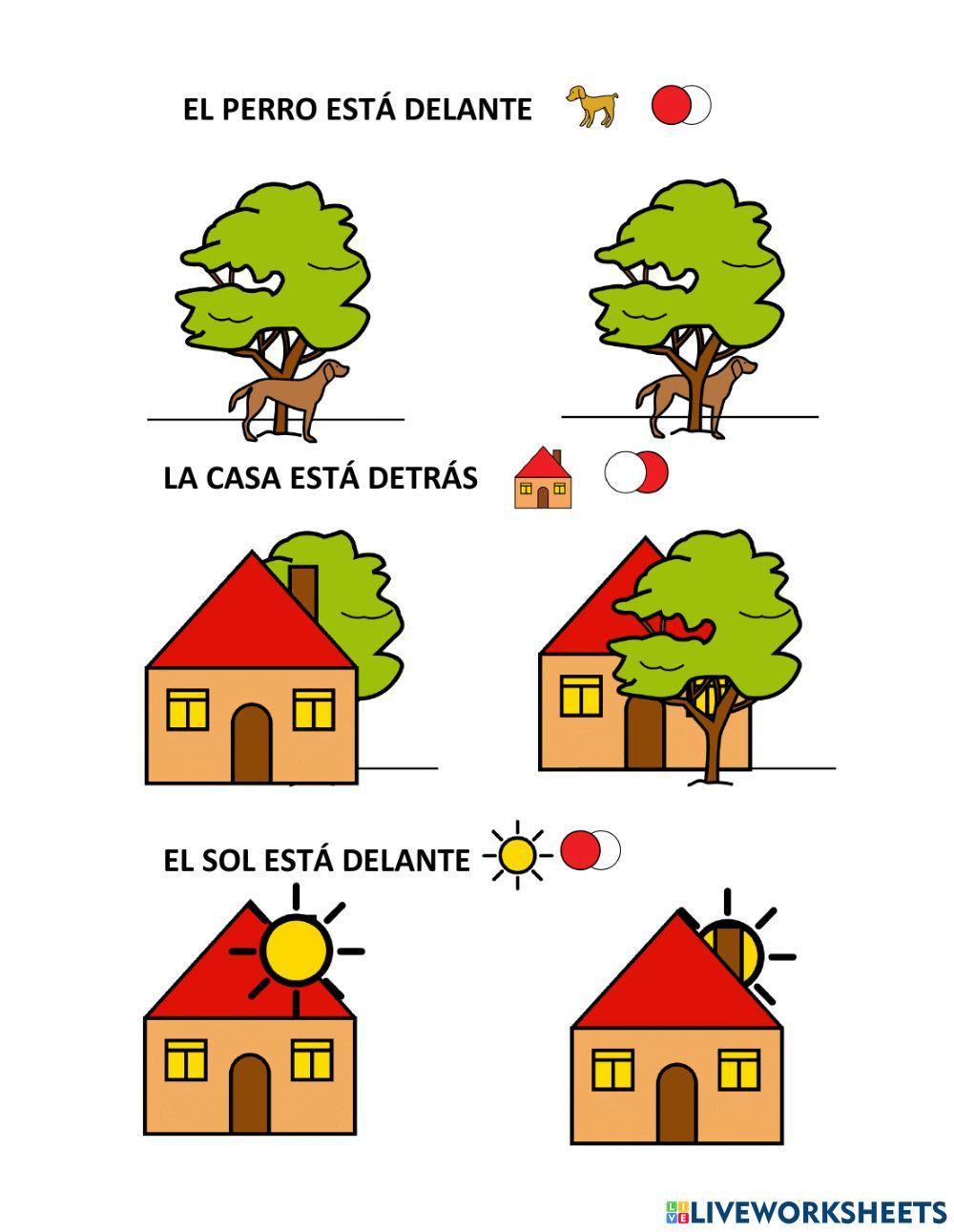 Delante-detrás teacch