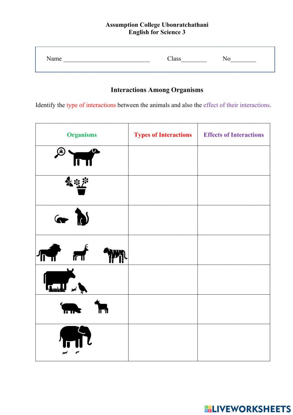 Interaction Among Organisms