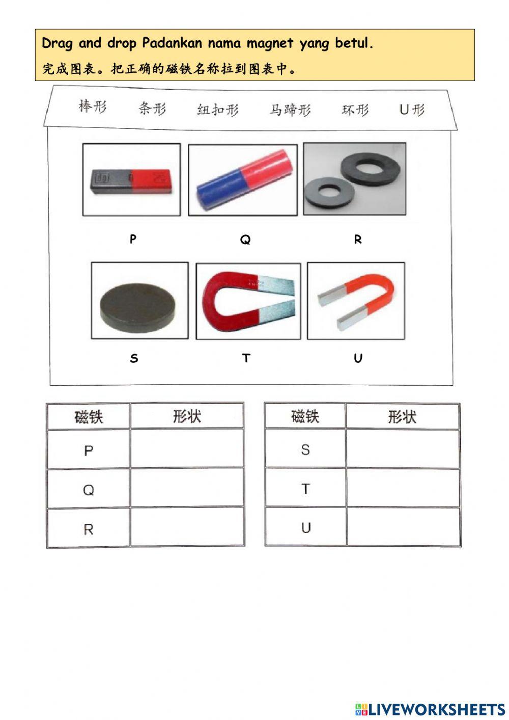 一年级科学：磁铁