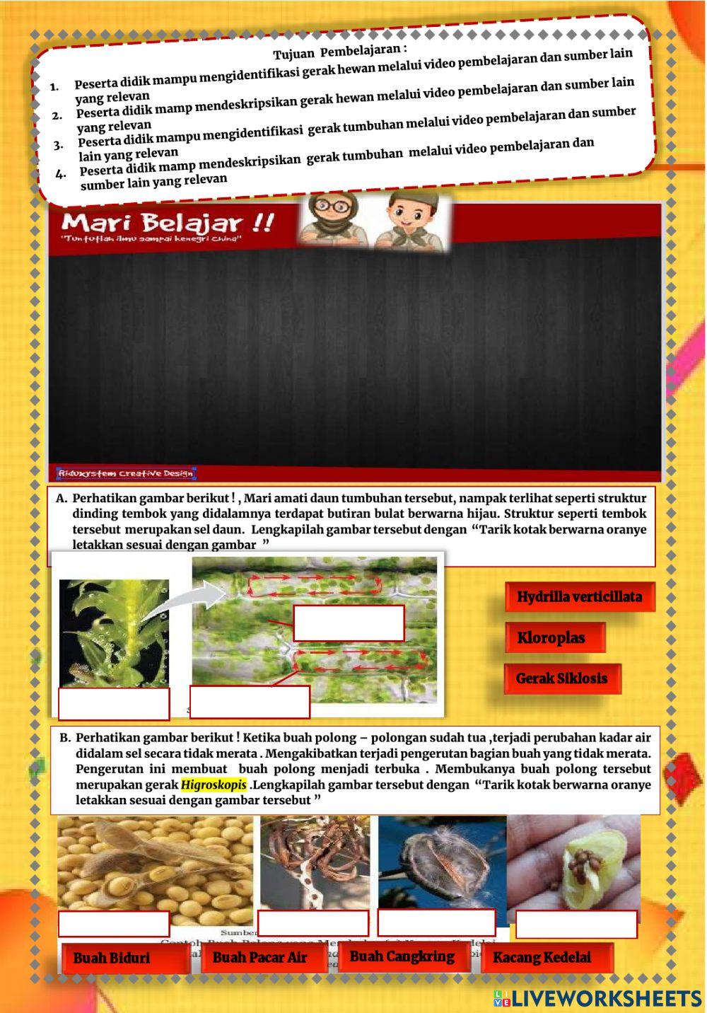 Sistem Gerak pada Hewan dan Tumbuhan