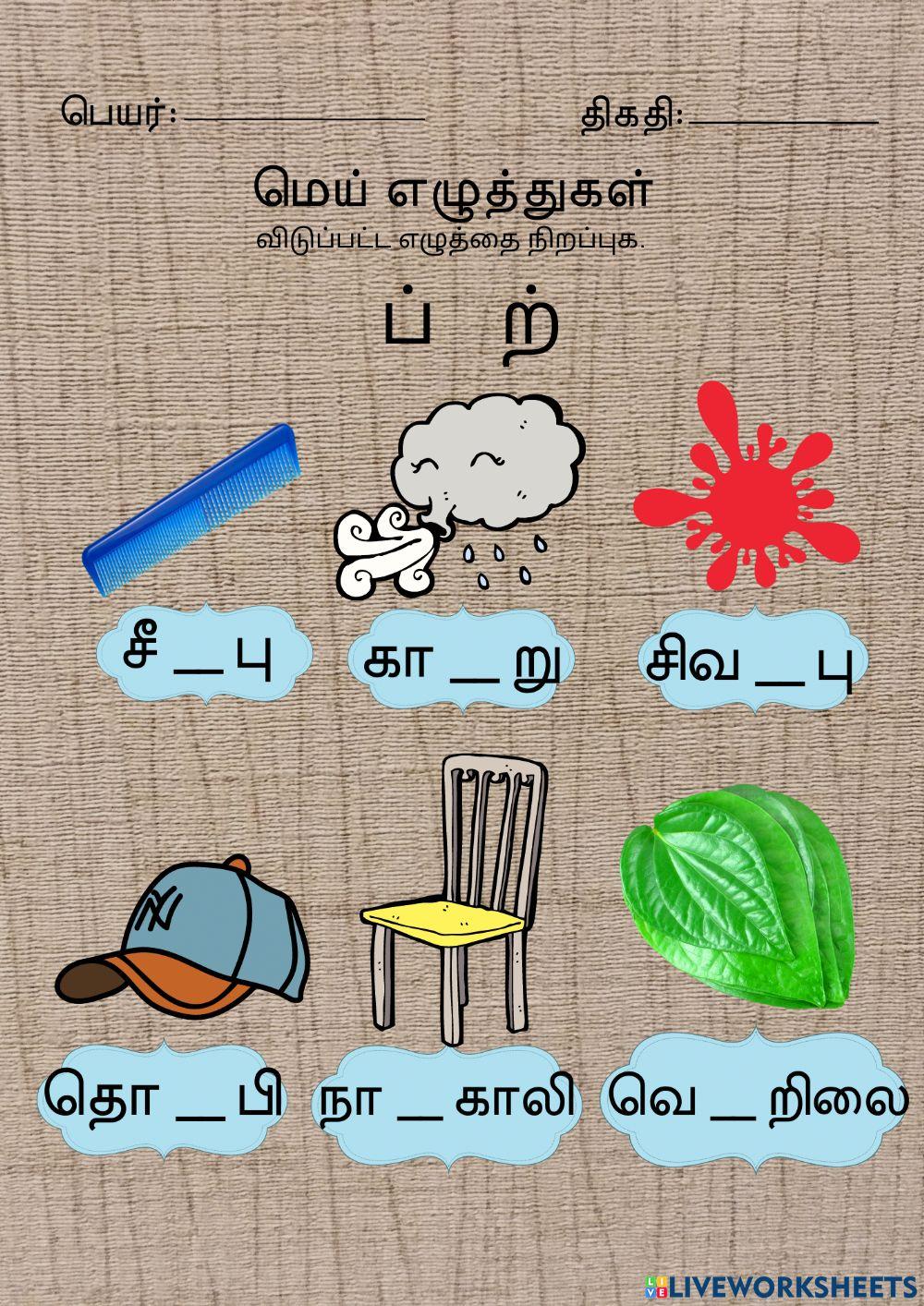 மெய் எழுத்துகள்