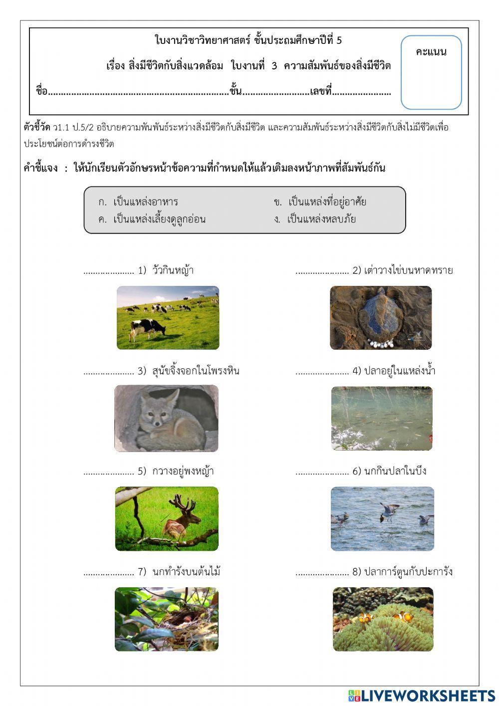 ระบบนิเวศ