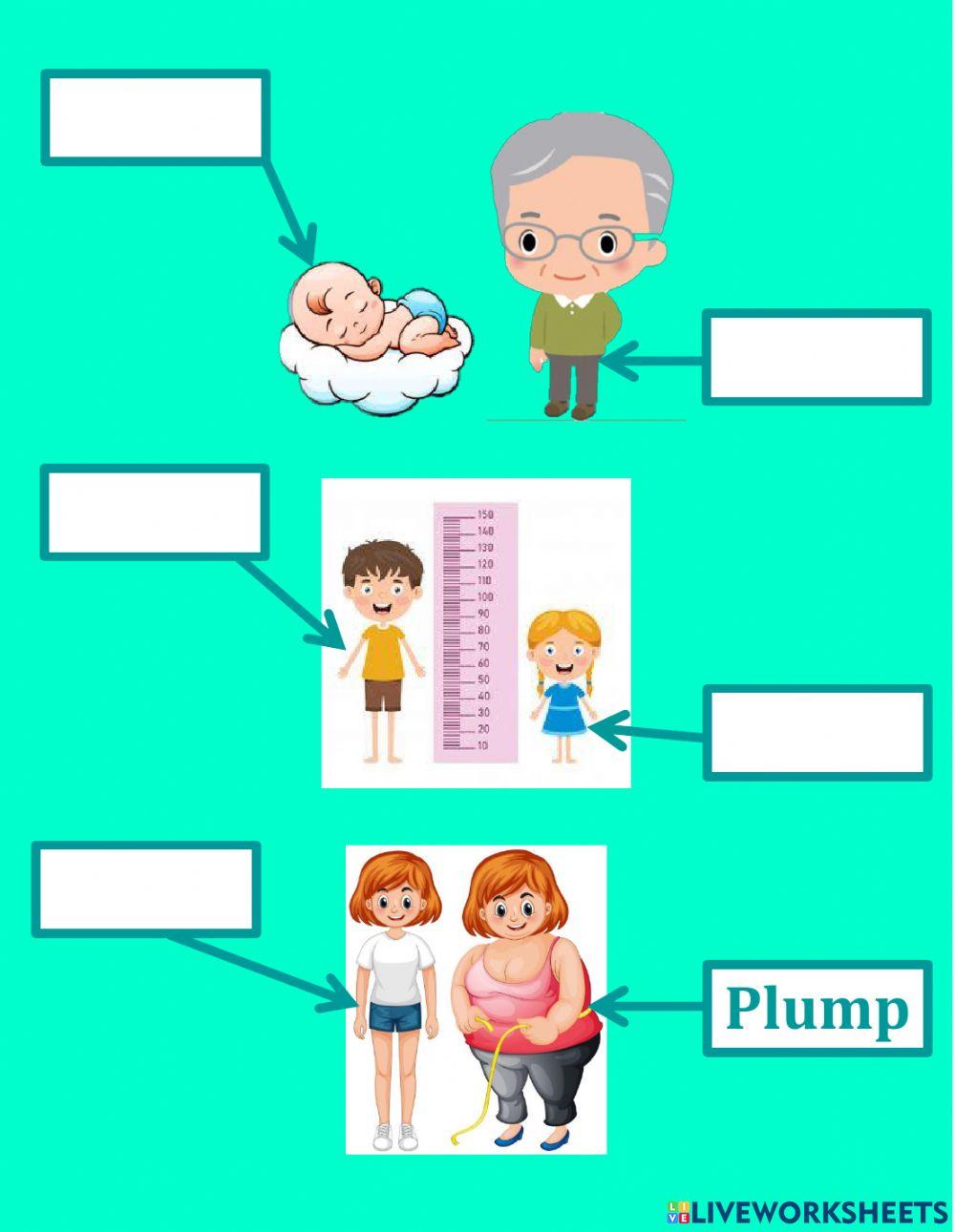 Describing appearance