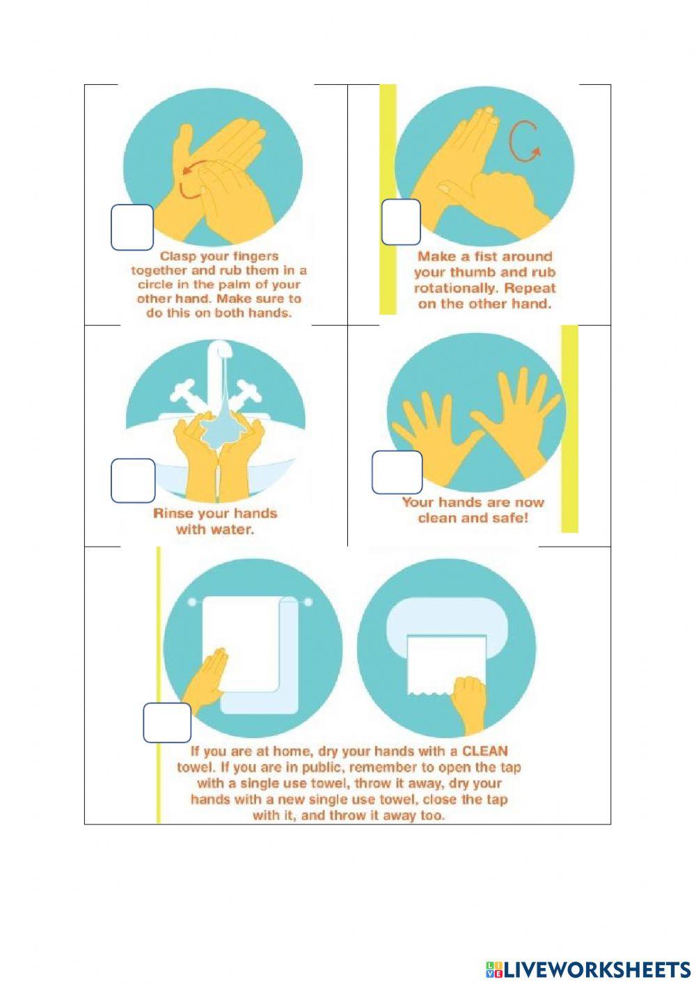 How to wash my hands worksheet | Live Worksheets