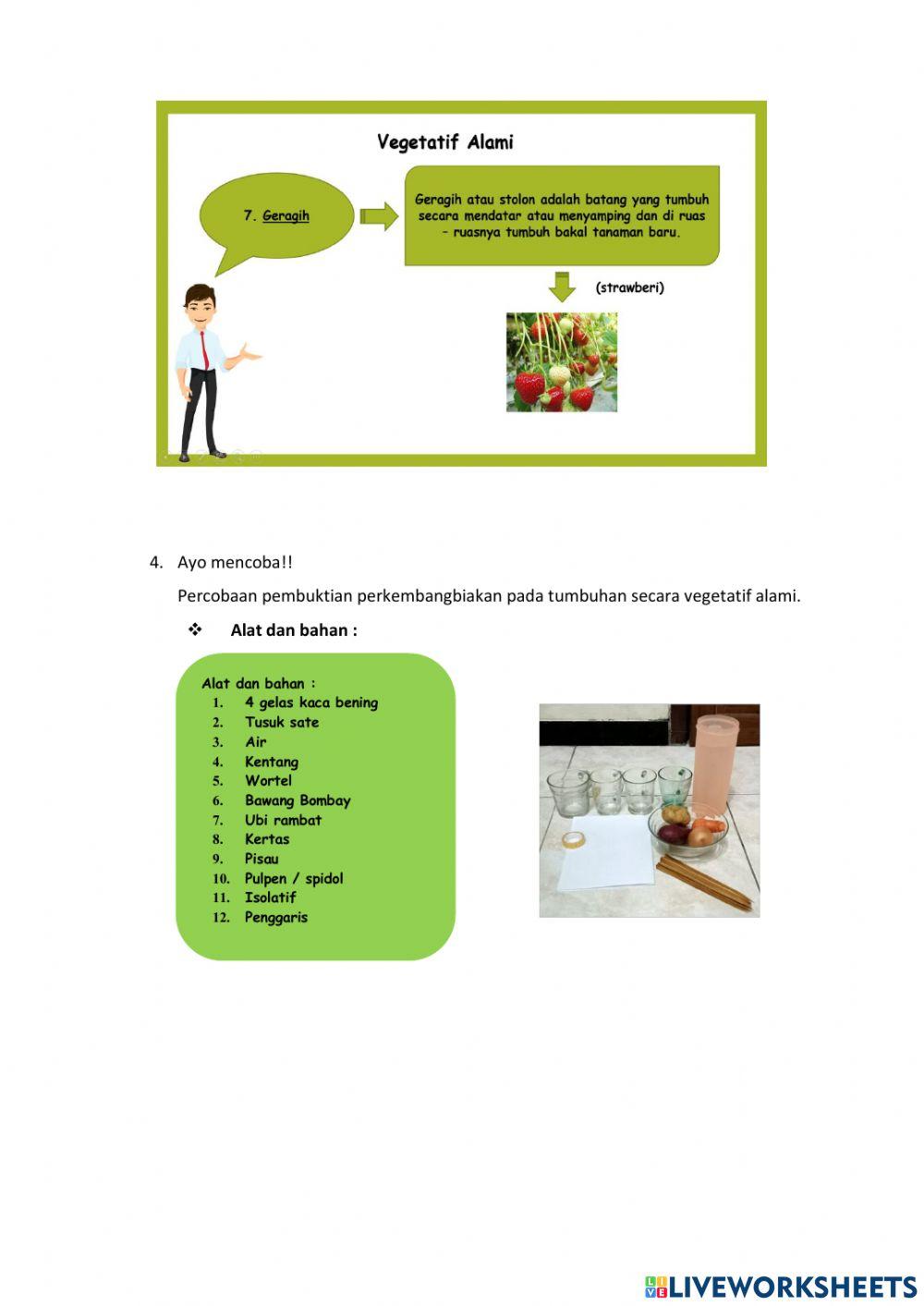 Materi Ajar Tema 1 Subtema 1 Pembelajaran 3