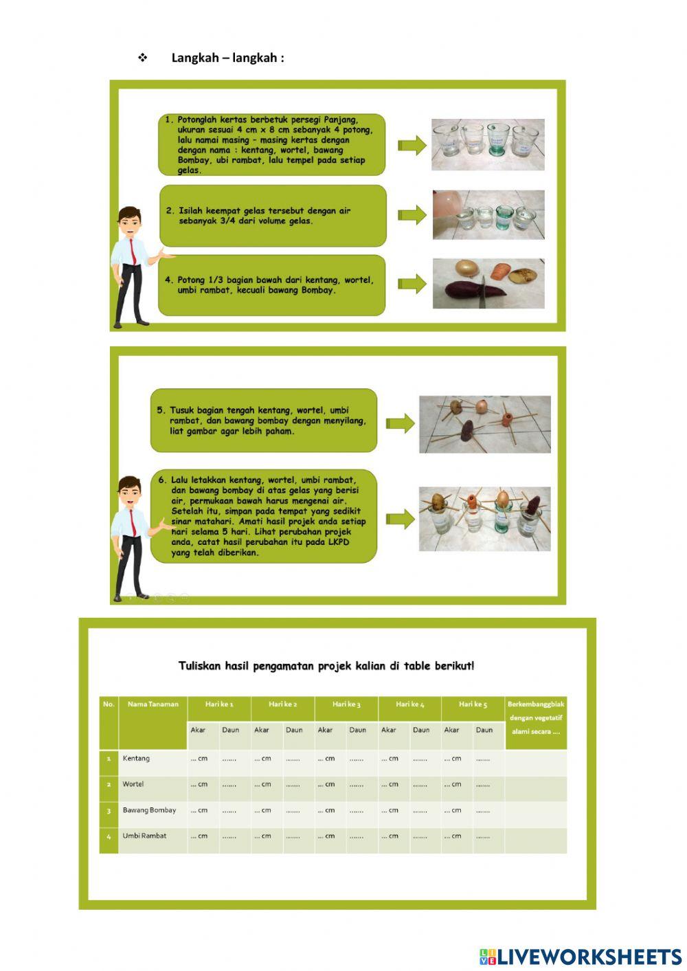 Materi Ajar Tema 1 Subtema 1 Pembelajaran 3