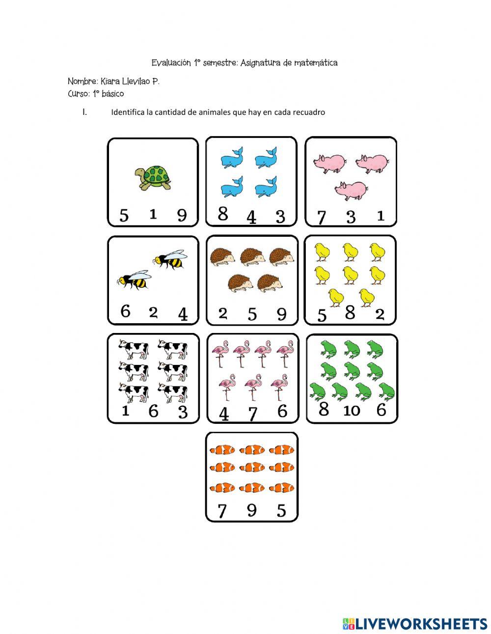 Evaluación primer semestre matemáticas