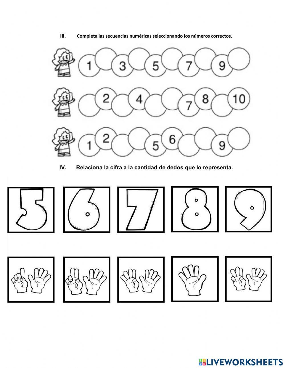 Evaluación primer semestre matemáticas