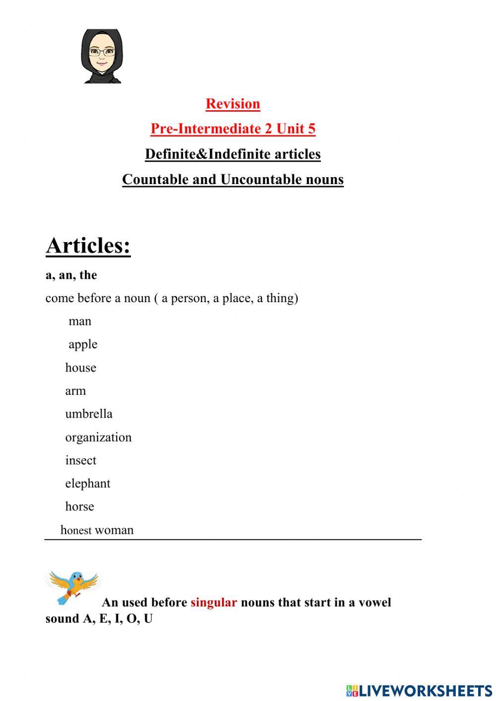 Articles & Countable and uncountable nouns