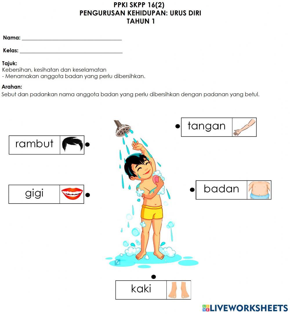 Anggota badan yang perlu dibersihkan