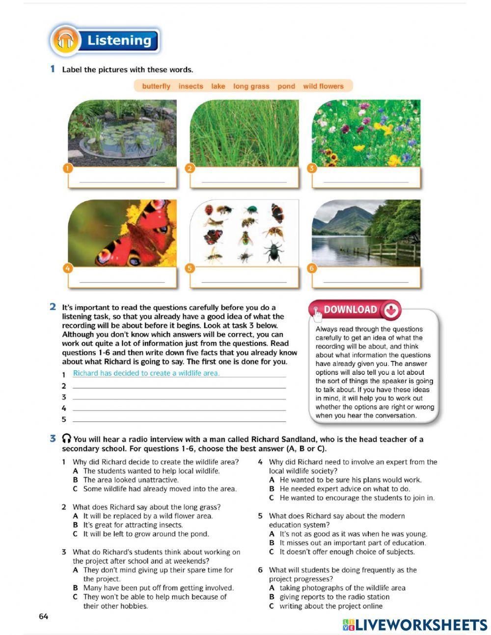 English Download Unit 5 Listening Worksheet | Live Worksheets