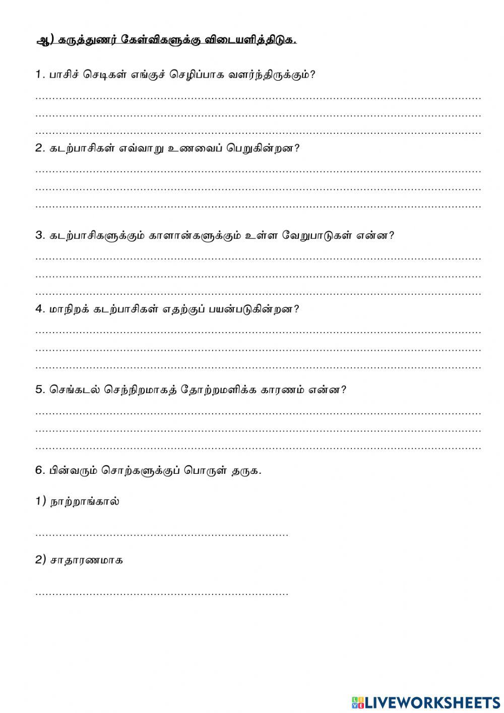 கடற்பாசி