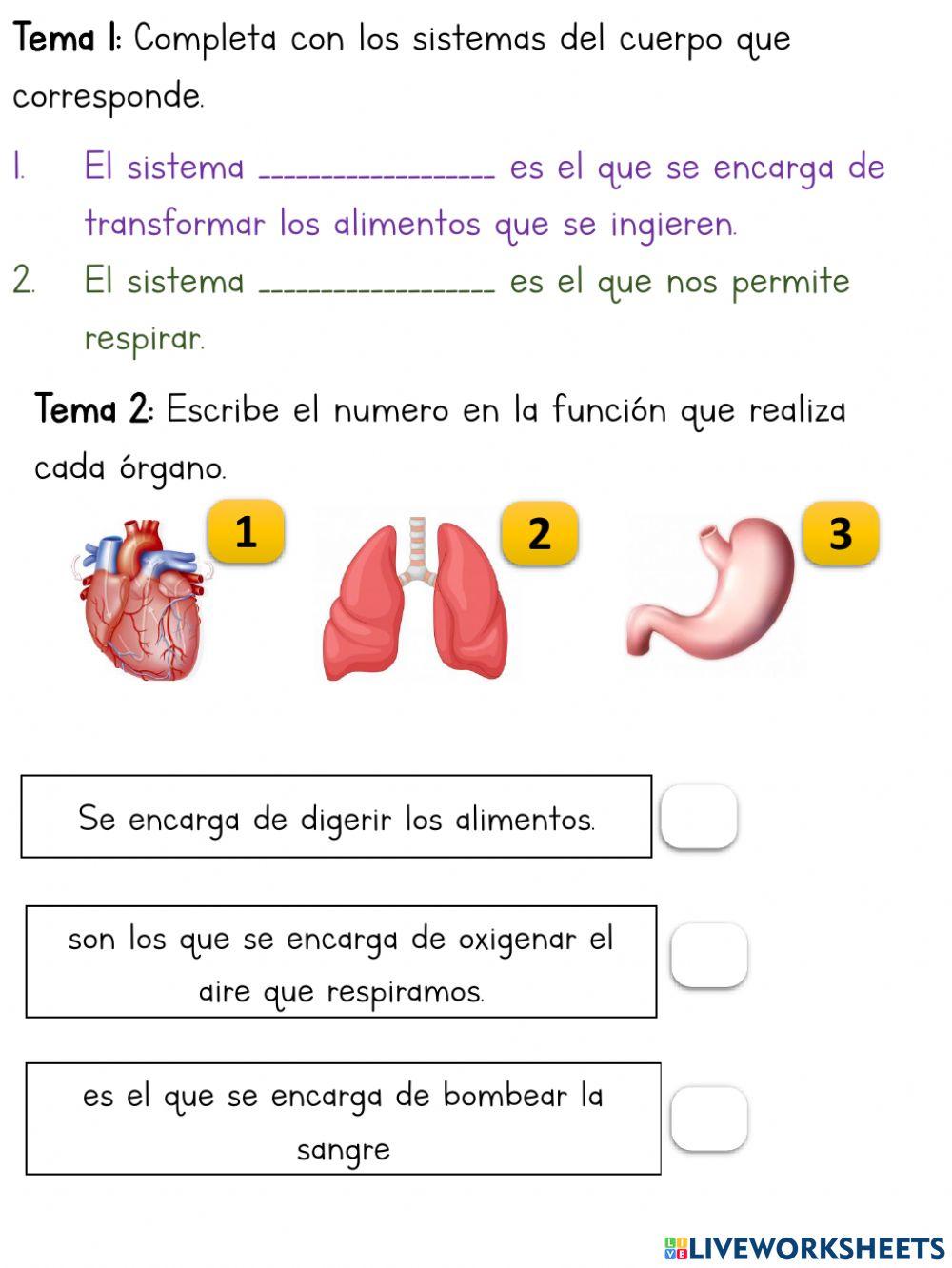 Evaluación de Naturales