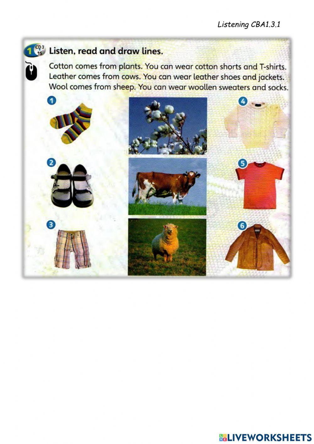 Year 2-Lesson46-Listening11-CBA1.3.1