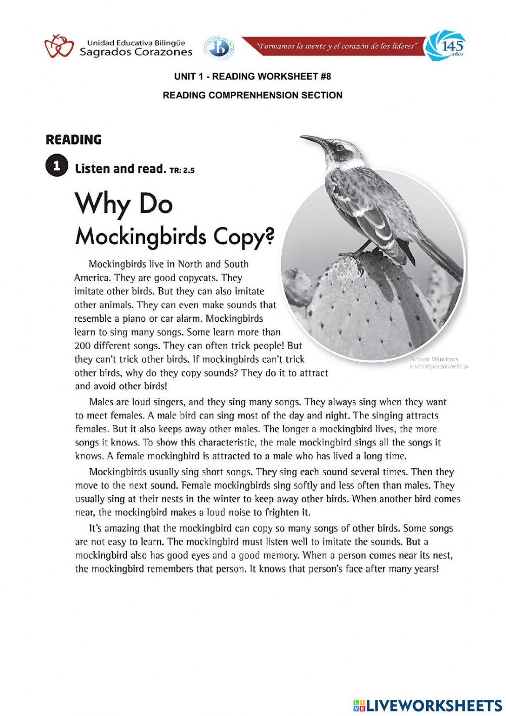 Why do MockingBirdsCopy?