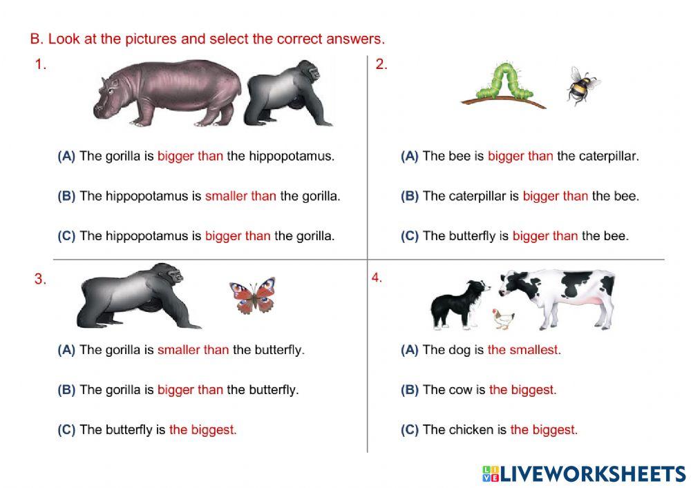 Animals and insects - statements