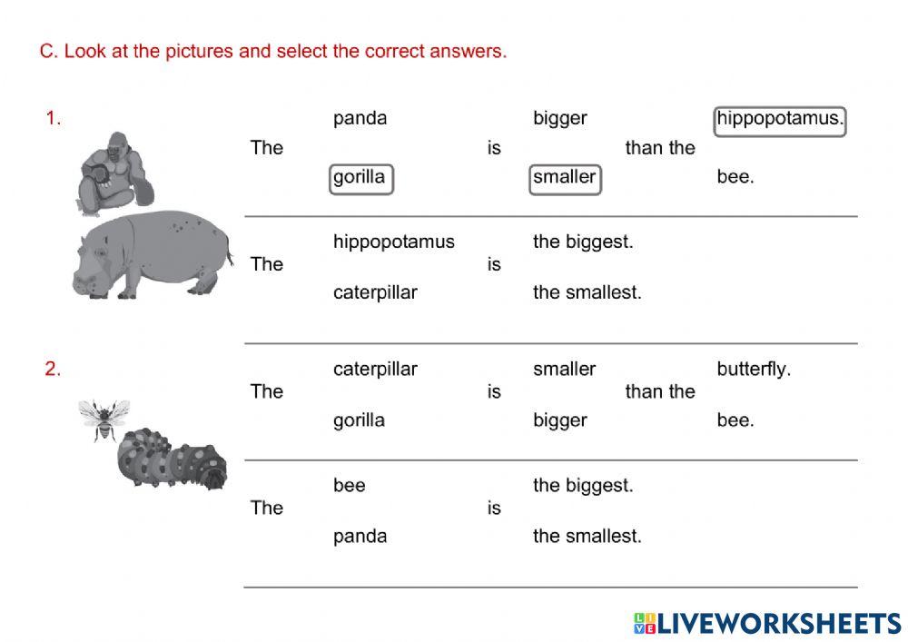 Animals and insects - statements