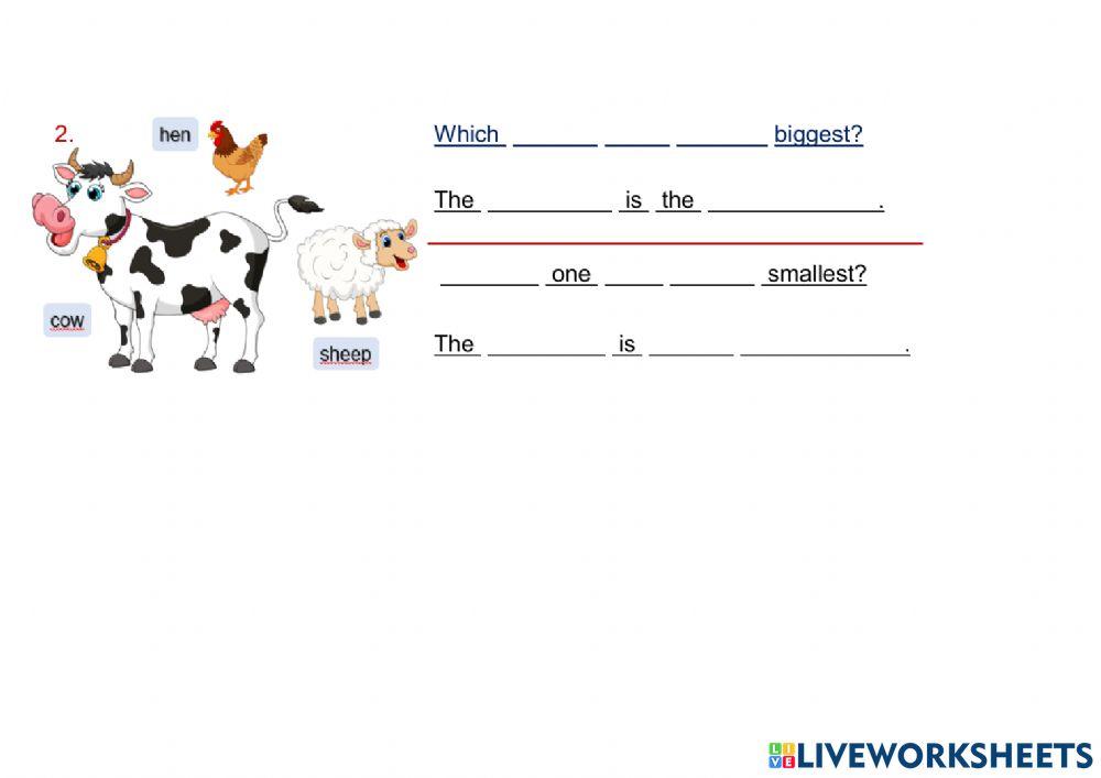 Animals and insects - statements