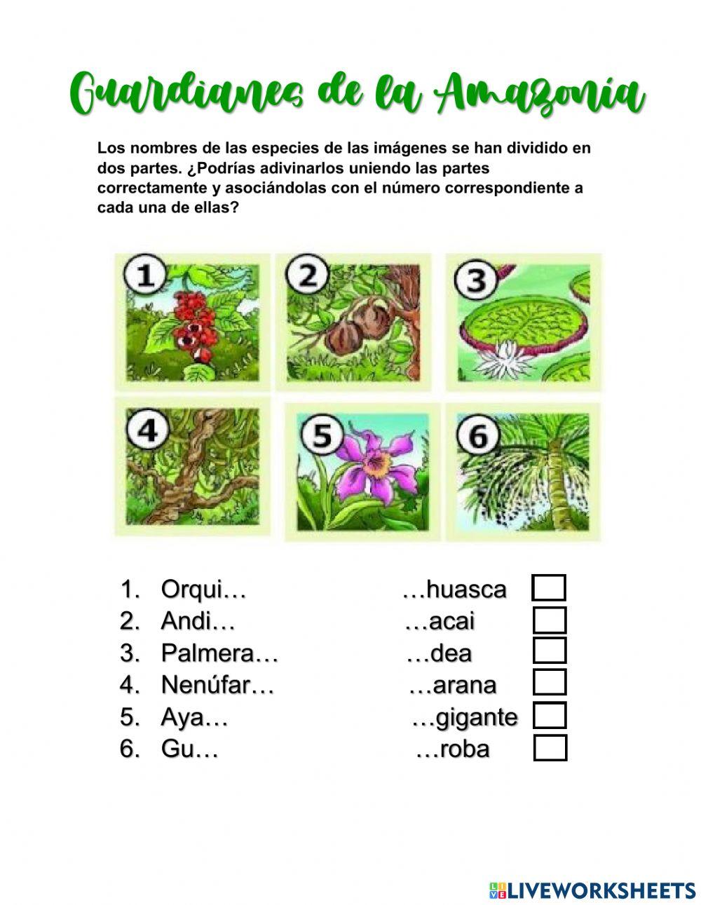 Guardianes de la Amazonía