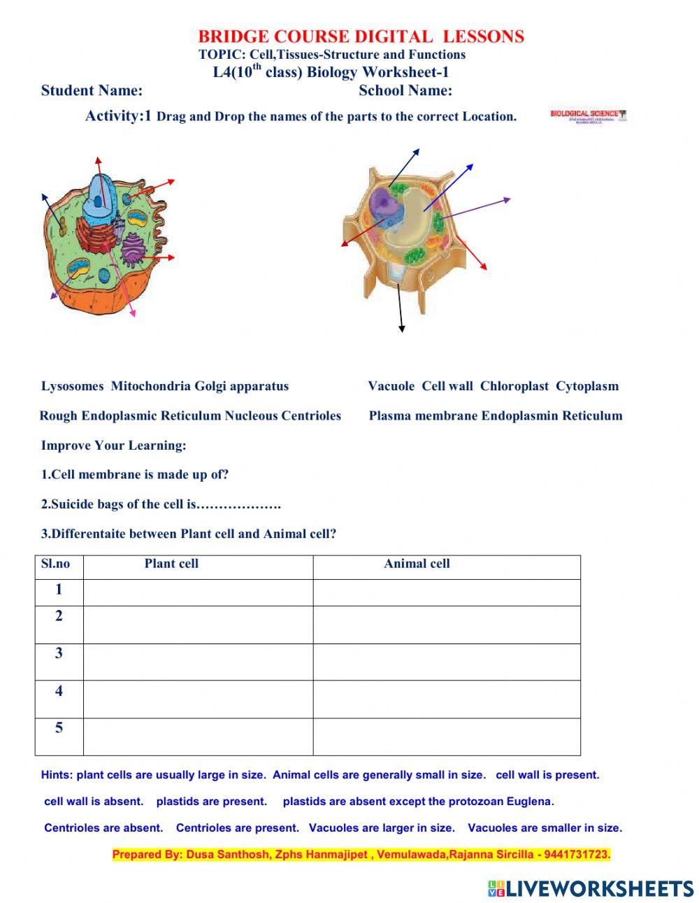 L4(10th class) Biology Worksheet-1