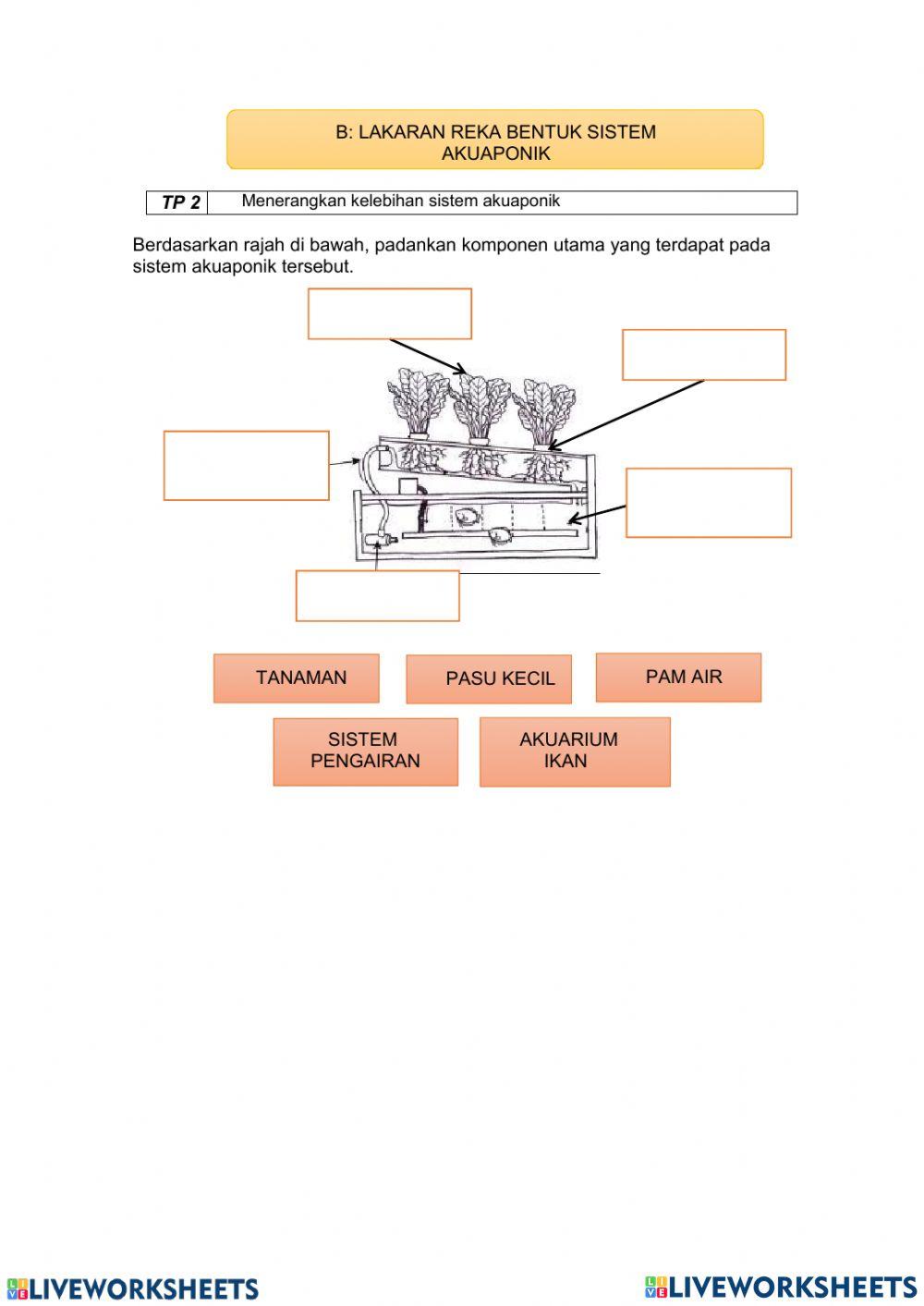 Rbt ting 2 reka bentuk akuaponik