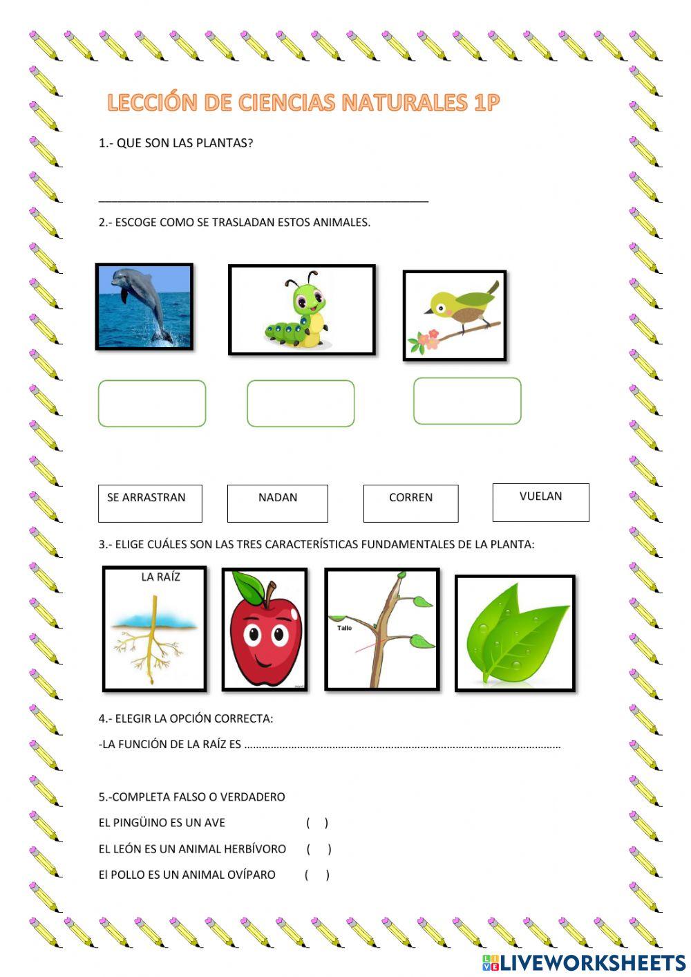 Leccion de ciencias naturales 1 parcial