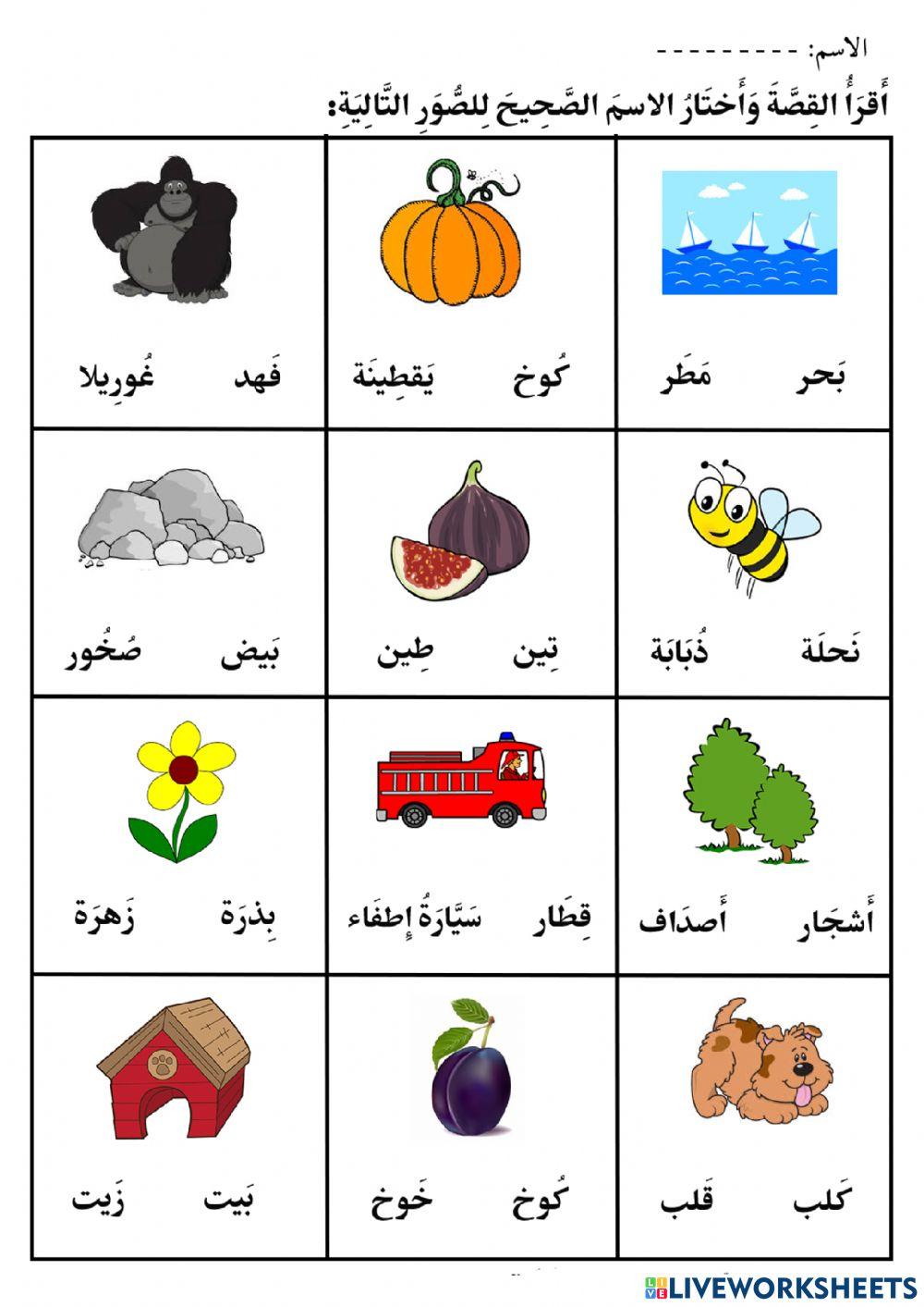 سمسم والألوان