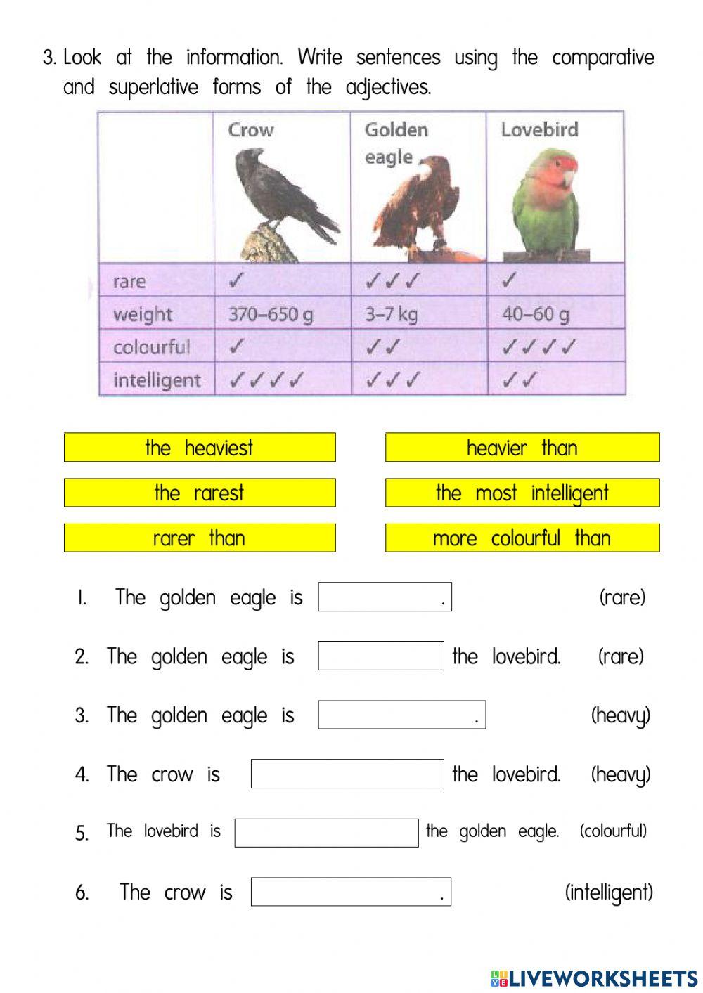 Y5 Unit 3 Lesson 8 page 40 Review Complete