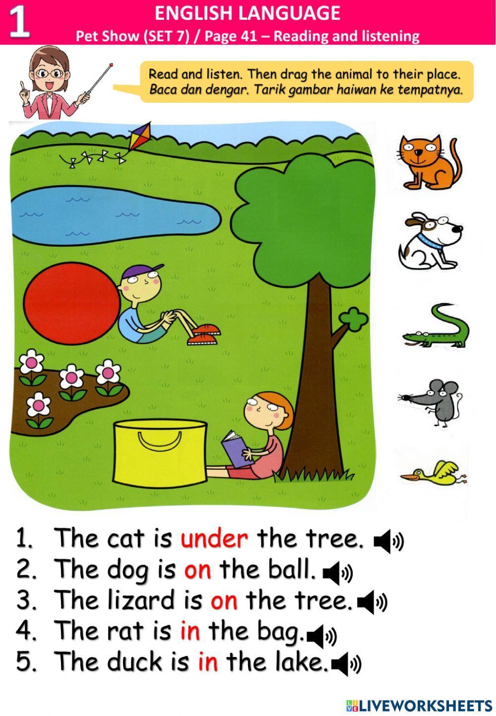 Pet show (7) -listen and drag -I like -I don't like