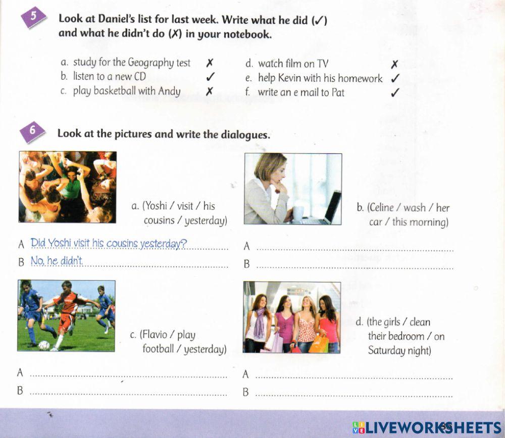 Past Simple - Questions and Negatives