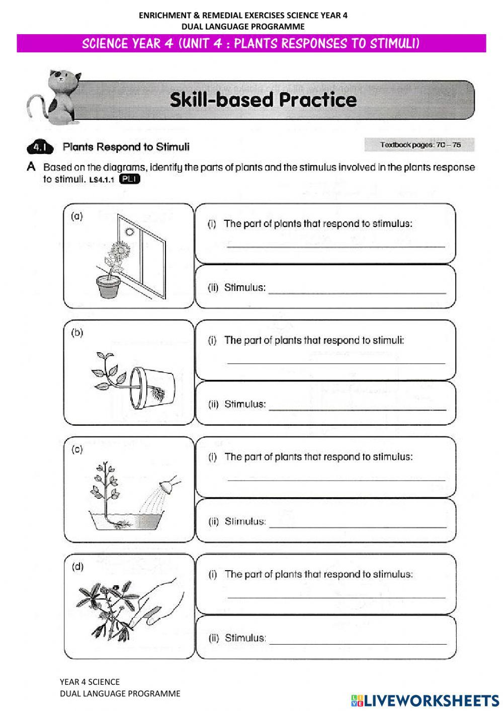 Plants Response To Stimuli (Set 1)