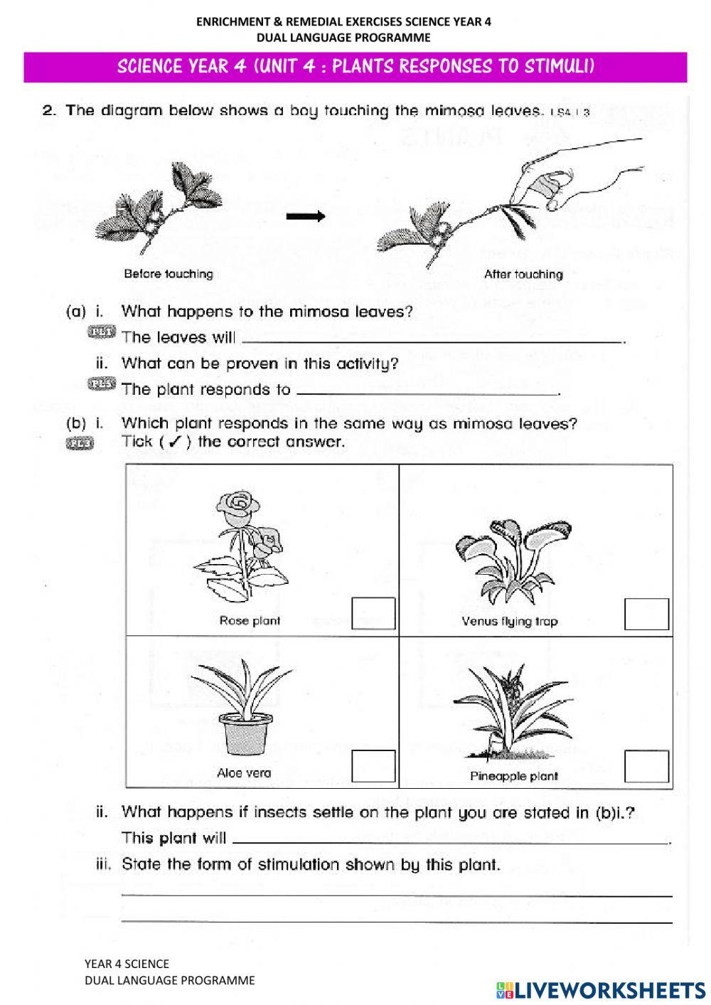 Plants response to stimuli set 3 worksheet live worksheets