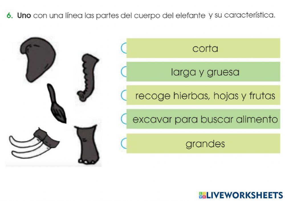 Pag. 20 lengua y literatura