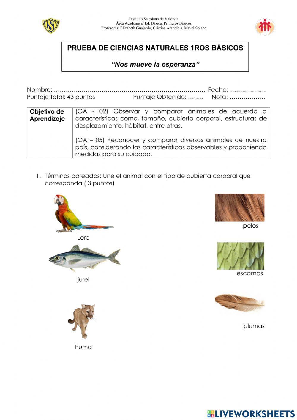 Evaluación Ciencias Naturales - Primeros básicos 