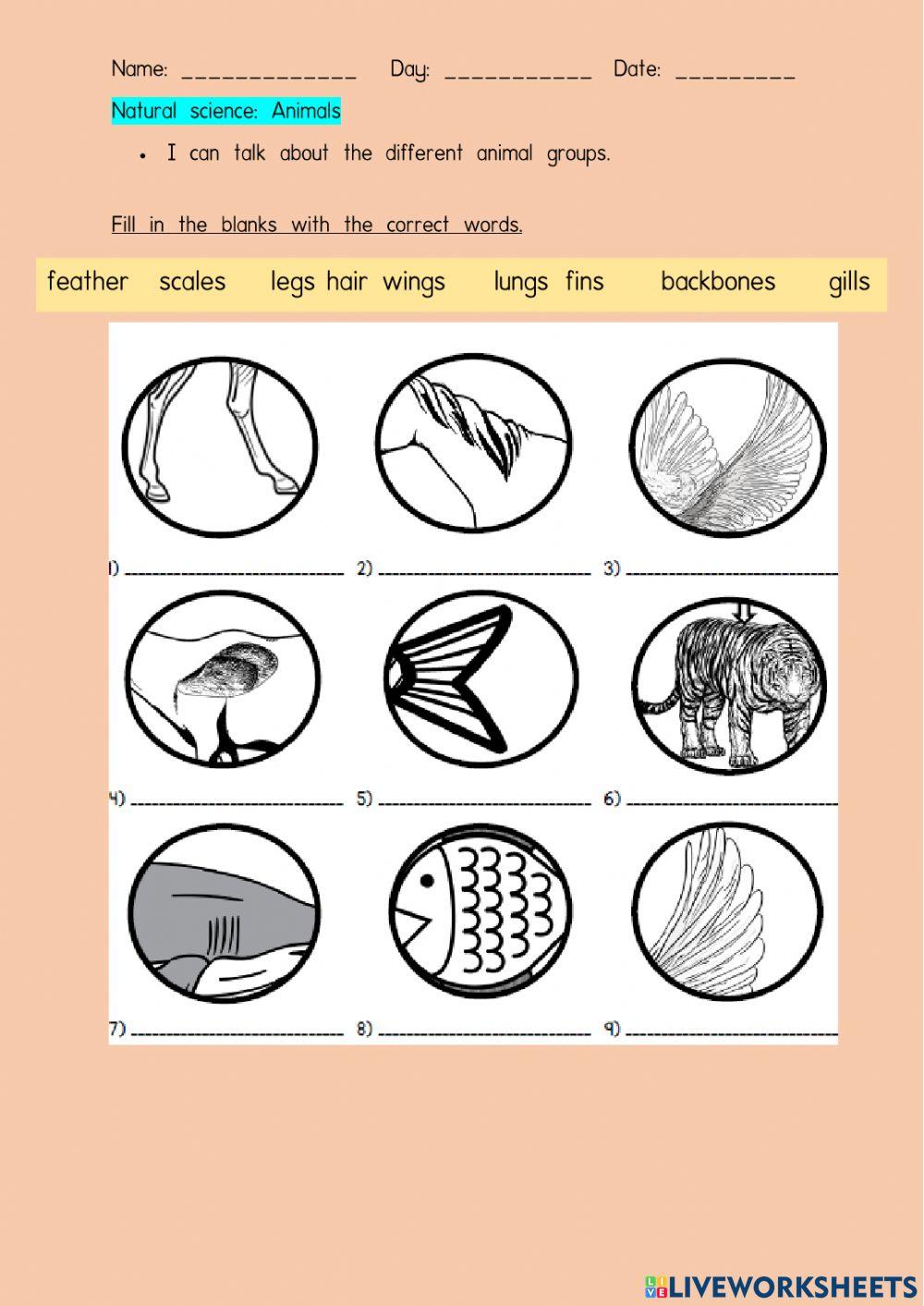 ENGLISH YEAR 5 Starter unit