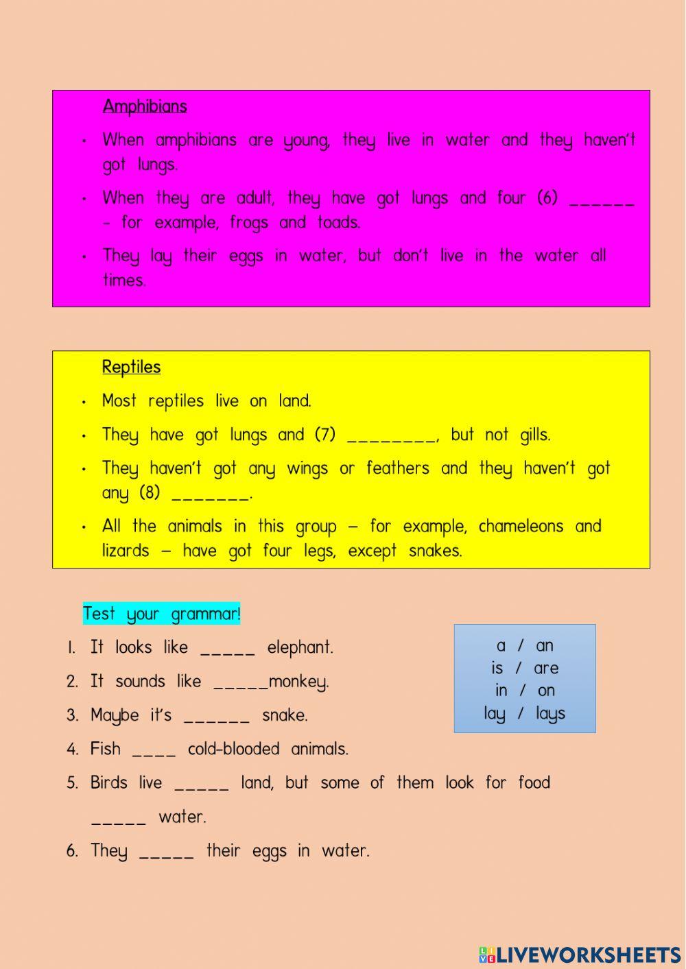 ENGLISH YEAR 5 Starter unit