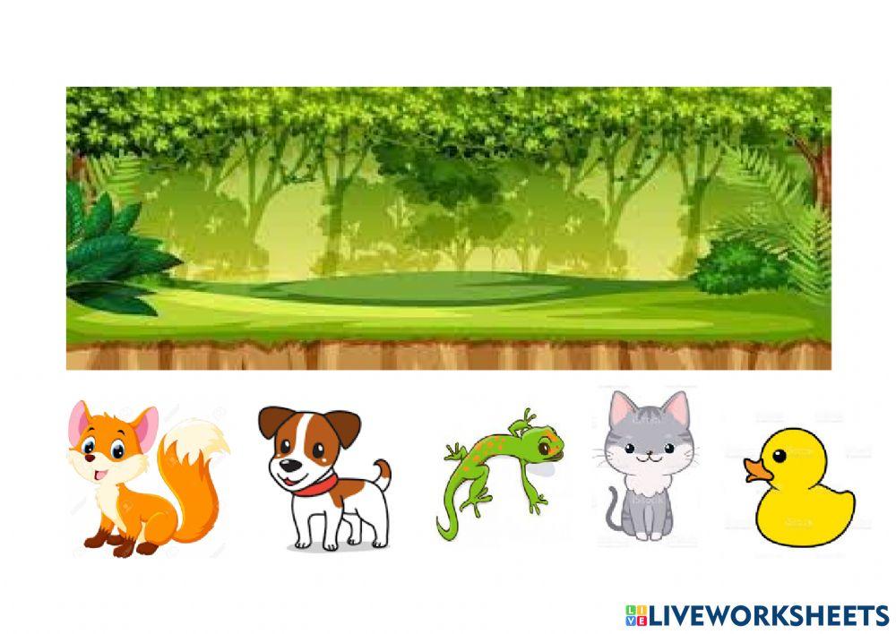 Animales domésticos y salvajes