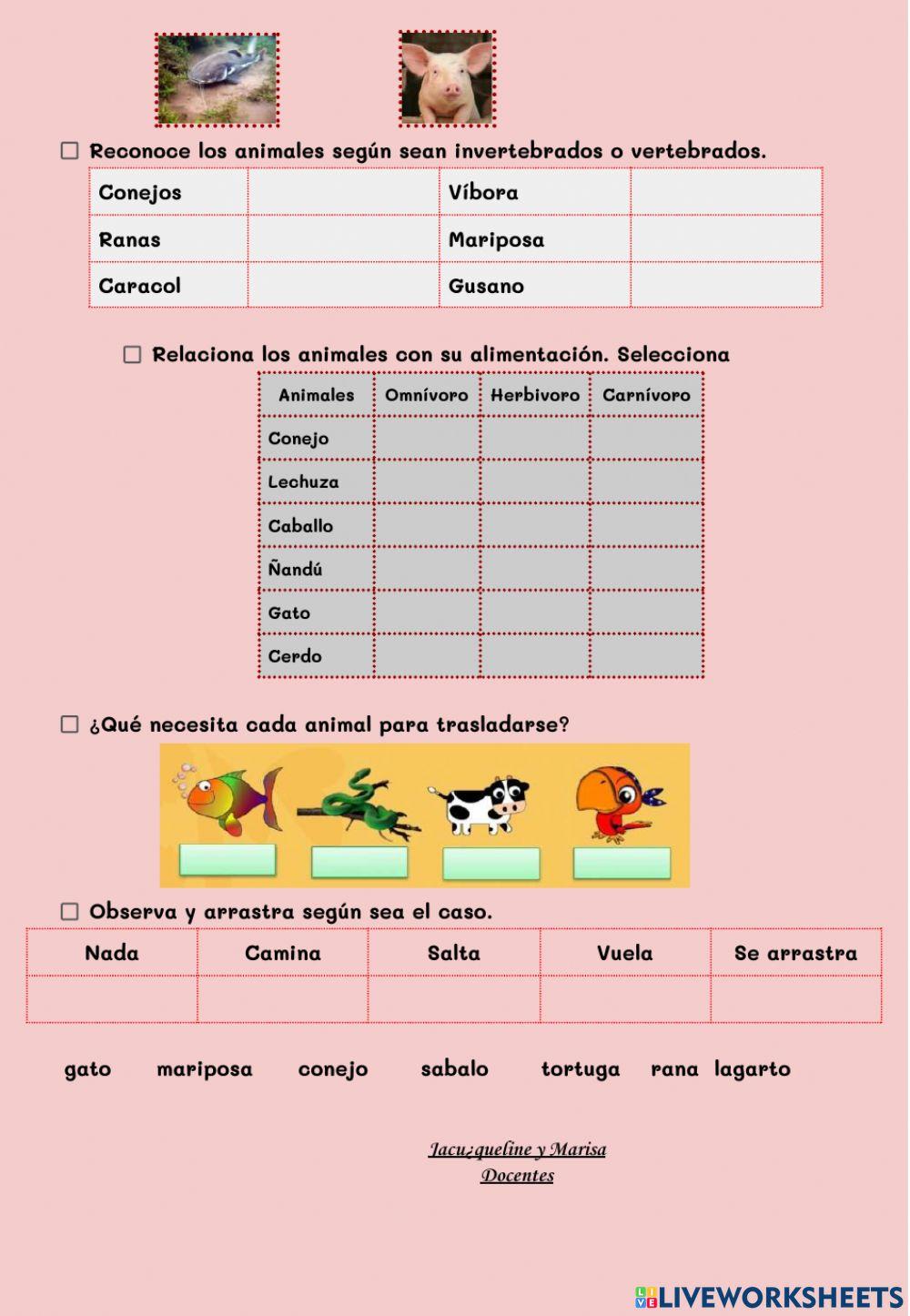 Adaptación de los animales