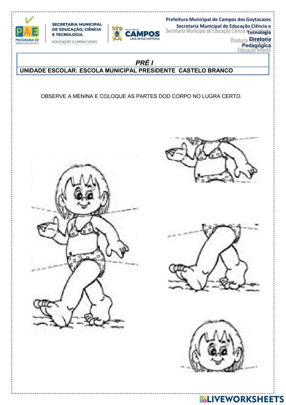 Quebra cabeça partes do corpo