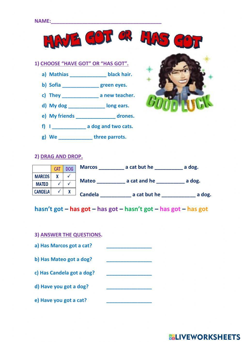 Have got - has got aff, neg. int.