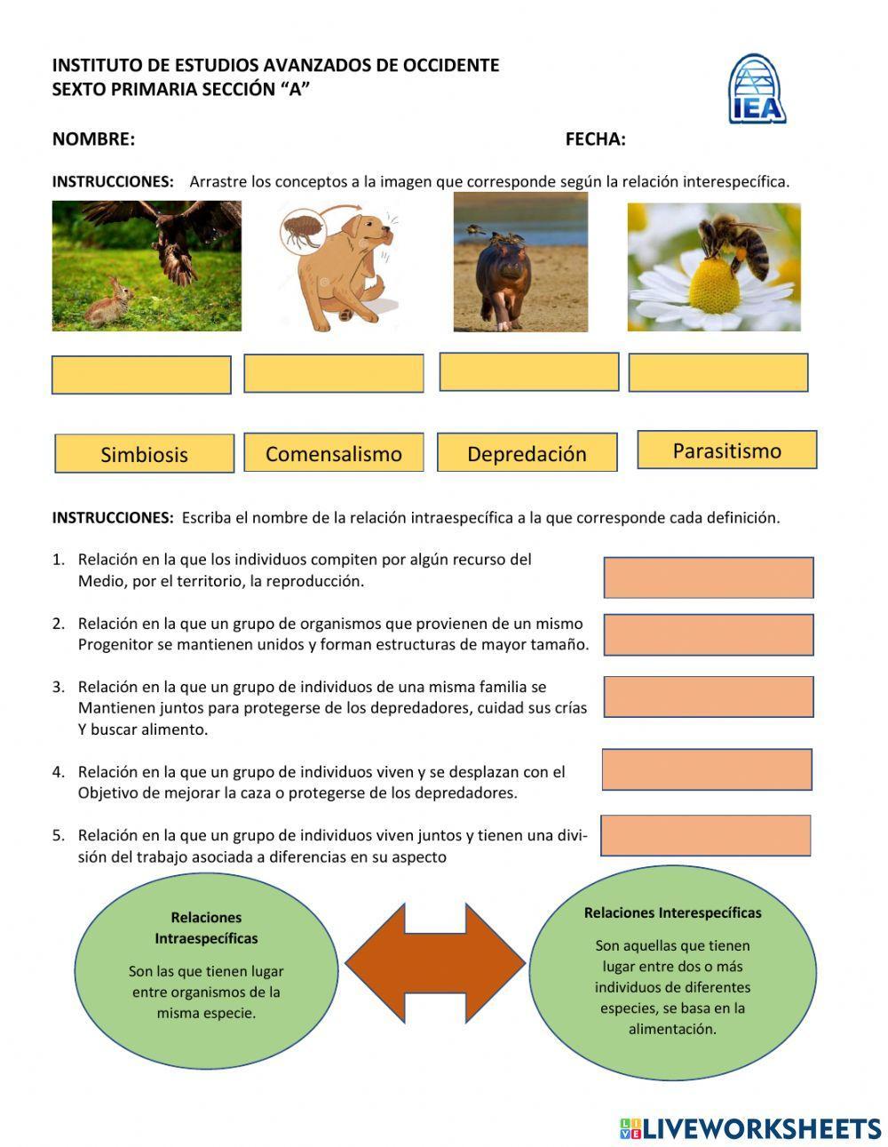 Relaciones entre organismos de un ecosistema