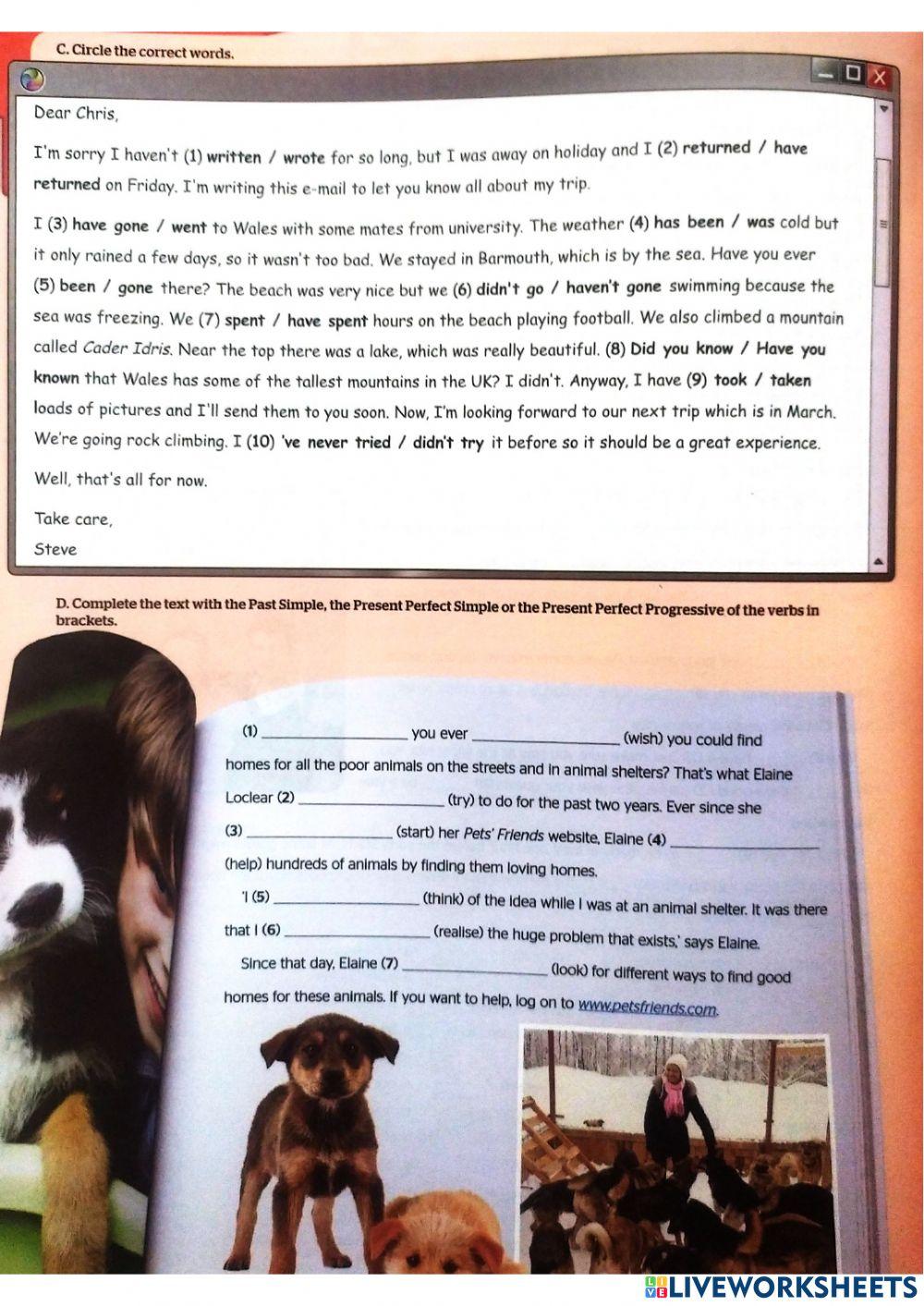 Modul 3 Grammar Unit Revision (Full Blast 4 Grammar)