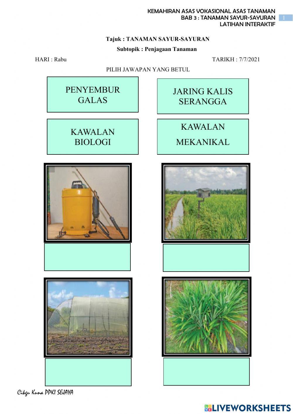 Alatan kawalan perosak