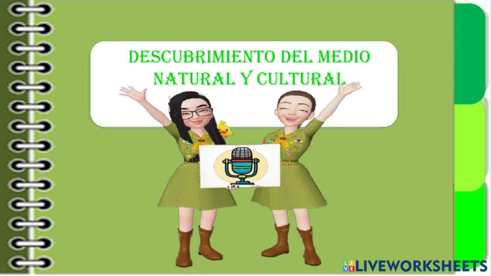 Taller de Retroalimentación